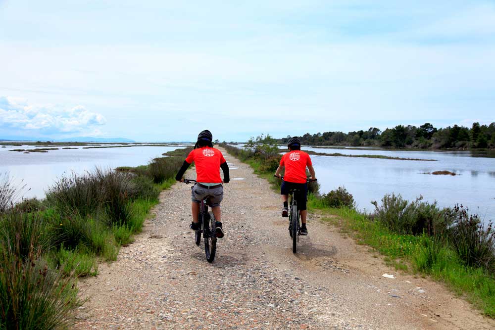 Karavasta_Albania_lagoon_nature_off-road